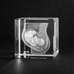 Lower Abdomen with Baby 3D Model in Glass